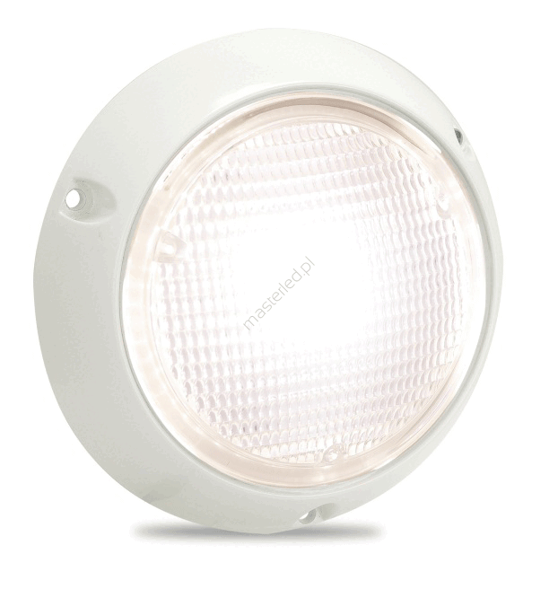 Indoor/Outdoor Lamp, Aluminum Housing, Surface-Mounted | masterled.pl