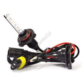 HiD Żarnik xenonowy typu H11 4300K
