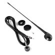 Antena samochodowa 40 cm ANT06 AMIO-01297 - 2