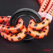 Linki elastyczne gumy do mocowania bagażu 8-ramienne 30 cm o8 mm BSTRAP-01 AMIO-01146 - 3